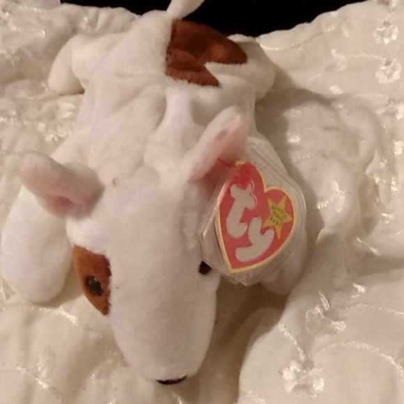 TY, "Butch" beanie dog - Picture 1 of 2